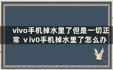 vivo手机掉水里了但是一切正常 ⅴiv0手机掉水里了怎么办